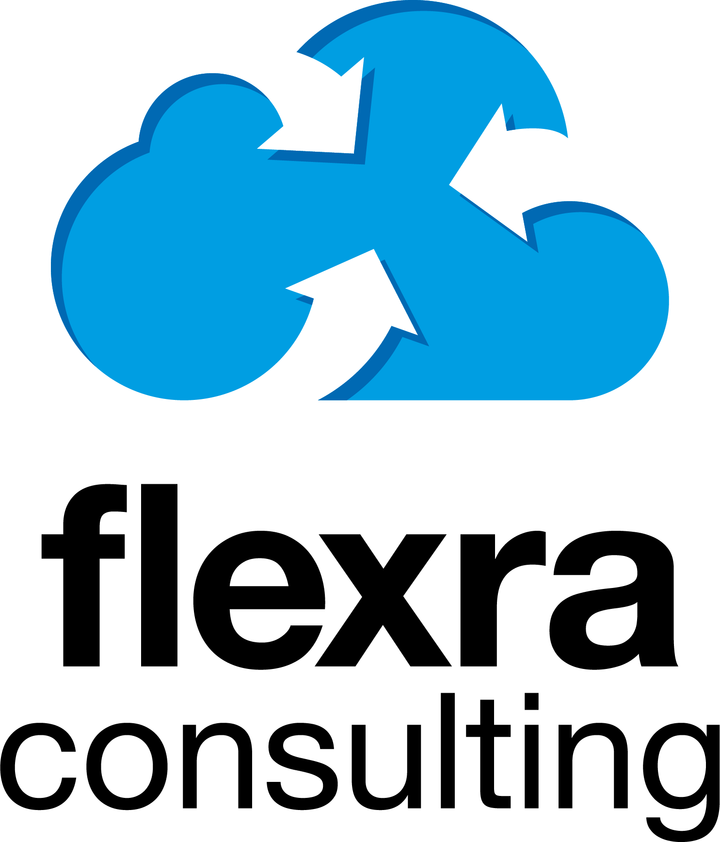 Flexraconsulting